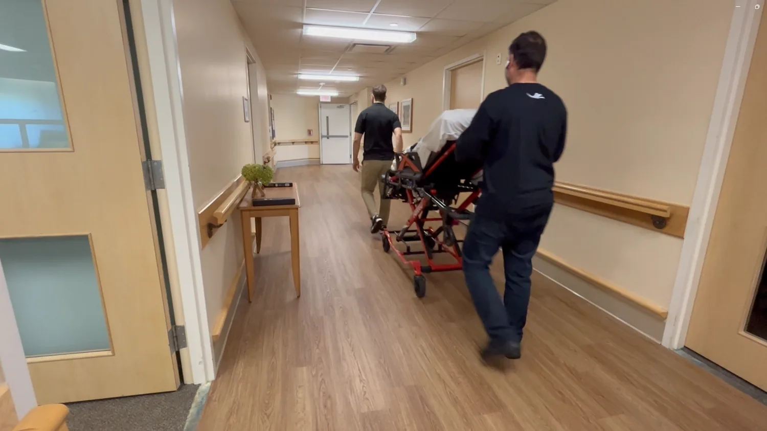 white wings non urgent stretcher service